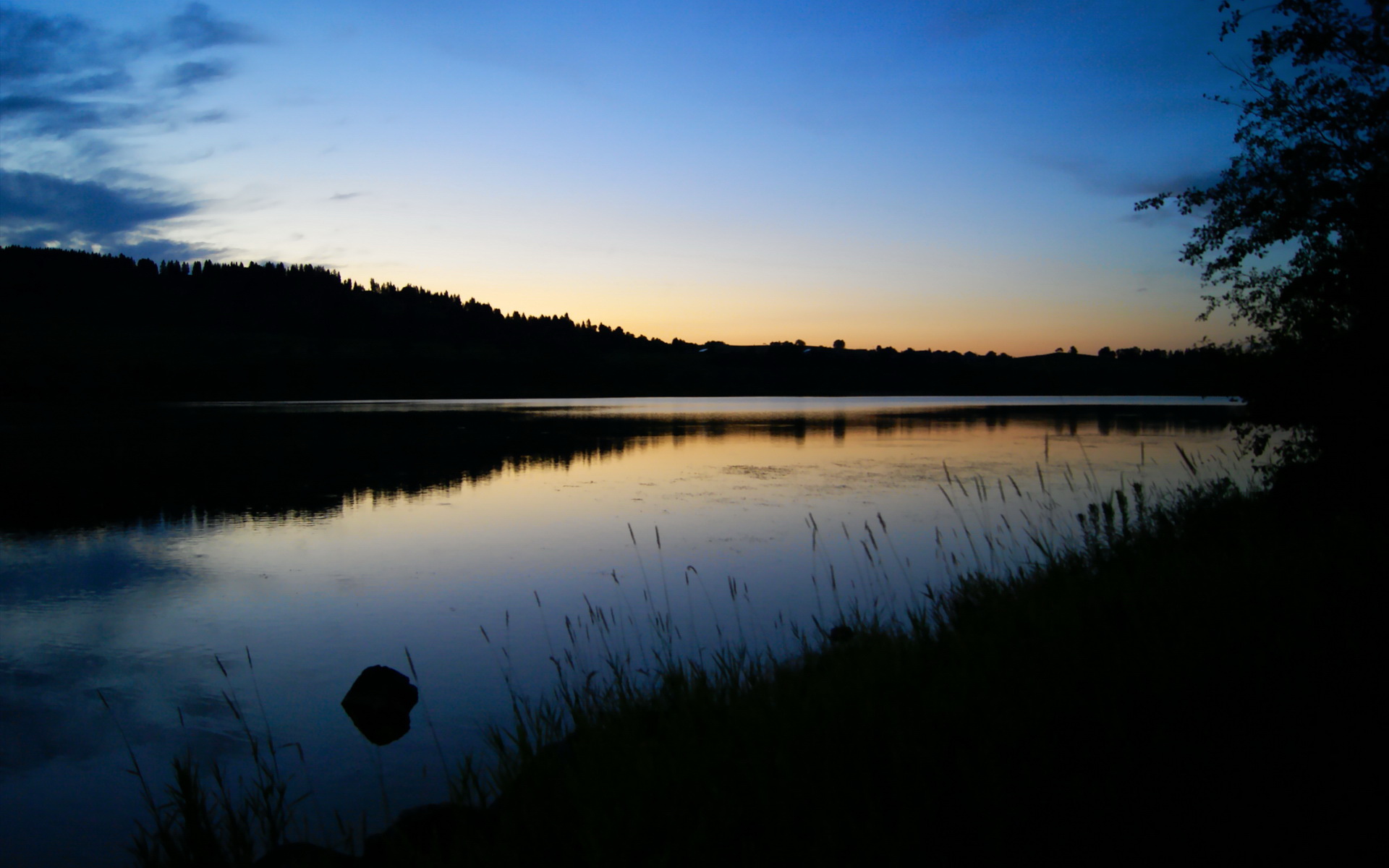 爱游戏智能体验-全场最高“抢断王”：斯托亚科维奇在季后赛中多次完成抢断反击！