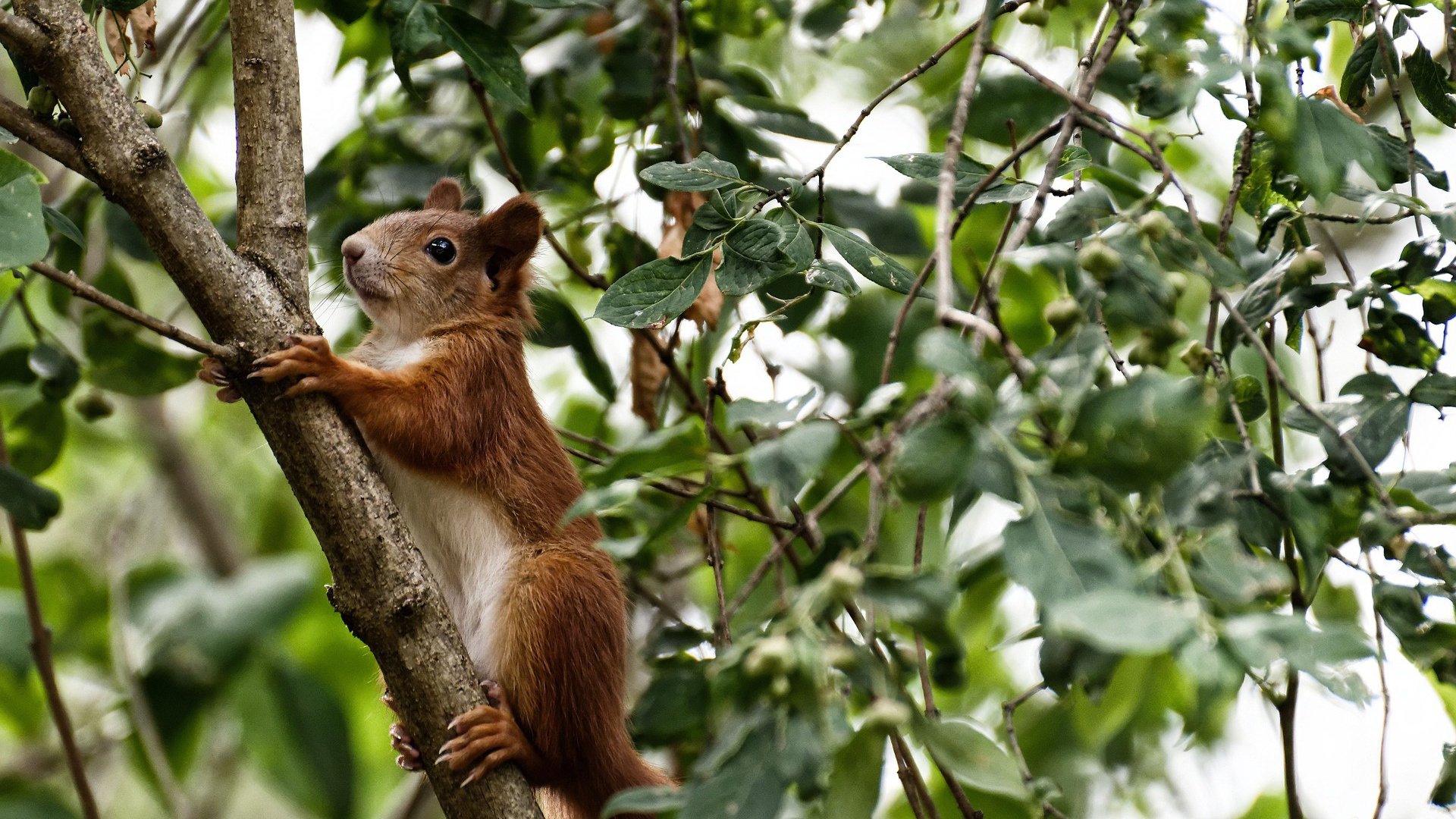 爱游戏官方网站-史上“最默契”的团队合作瞬间，团队配合已到极致，团队配合默契的说说