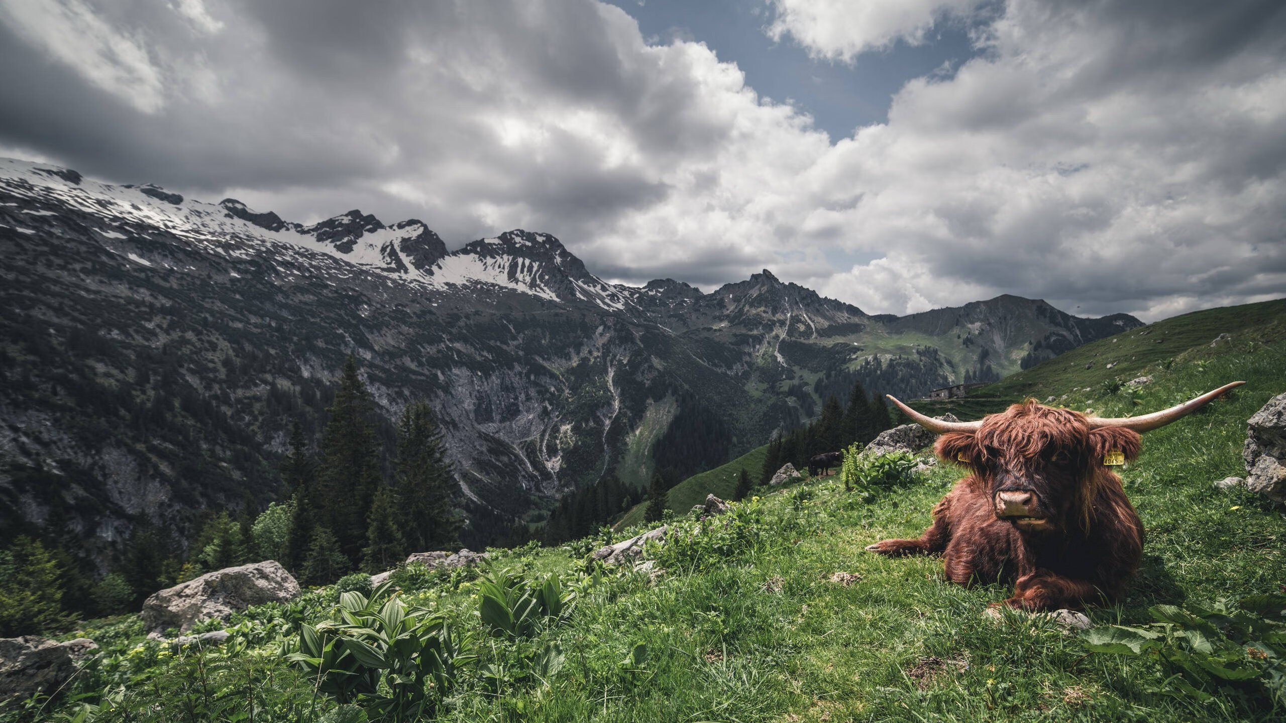 爱游戏中国-复出首战：明星球员带队冲击胜利！，nba复出球员